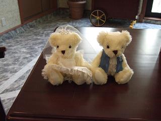 bear
